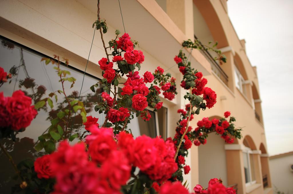Apartments&Rooms Jelavić Seget Vranjica Zewnętrze zdjęcie
